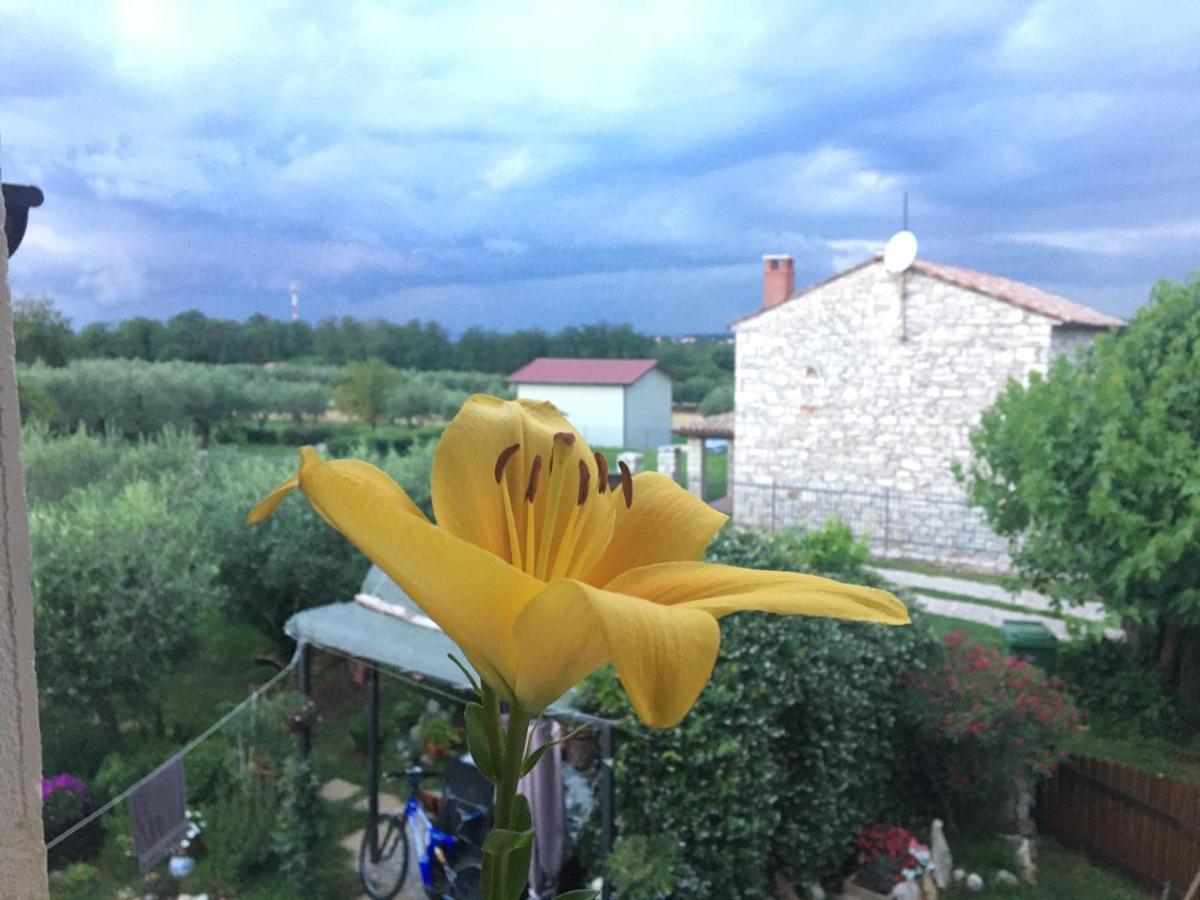 Appartment Hacienda Monica Umag Eksteriør billede