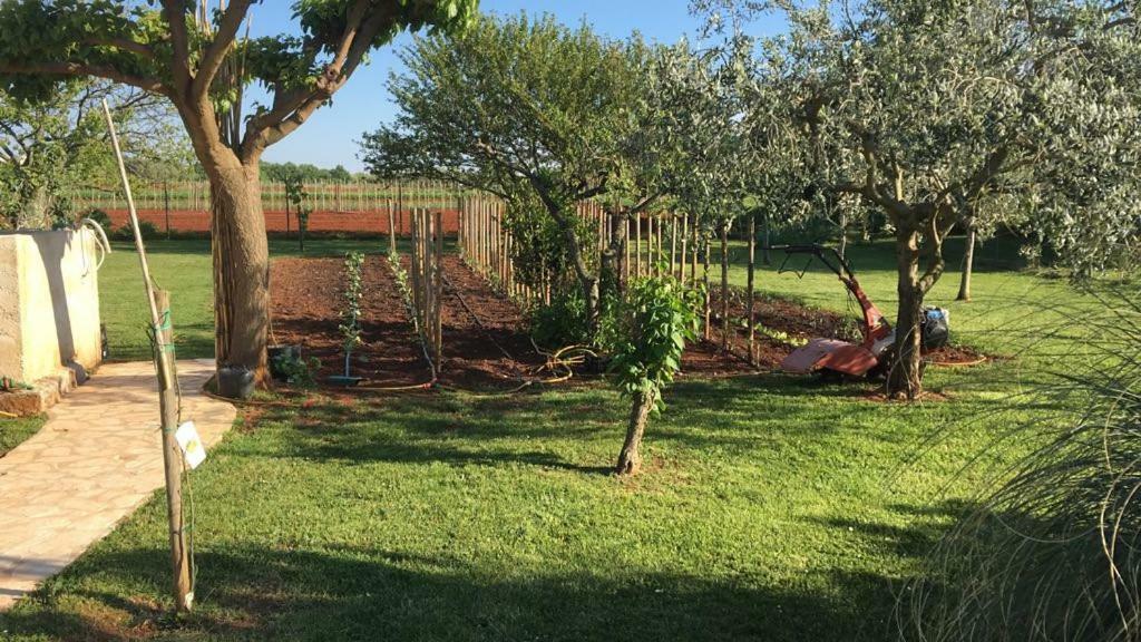 Appartment Hacienda Monica Umag Eksteriør billede